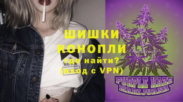 PSILOCYBIN Абдулино