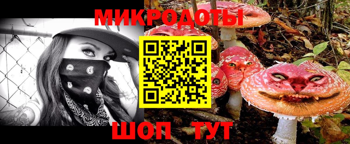 Красноармейск  Галлюциногенные грибы прущие грибы  Вход с VPN 