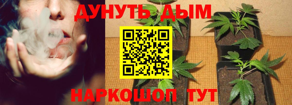 Красноармейск  Бошки марихуана гибрид  Вход с VPN  Конопля конопля  Марихуана тримм  Марихуана тримм 